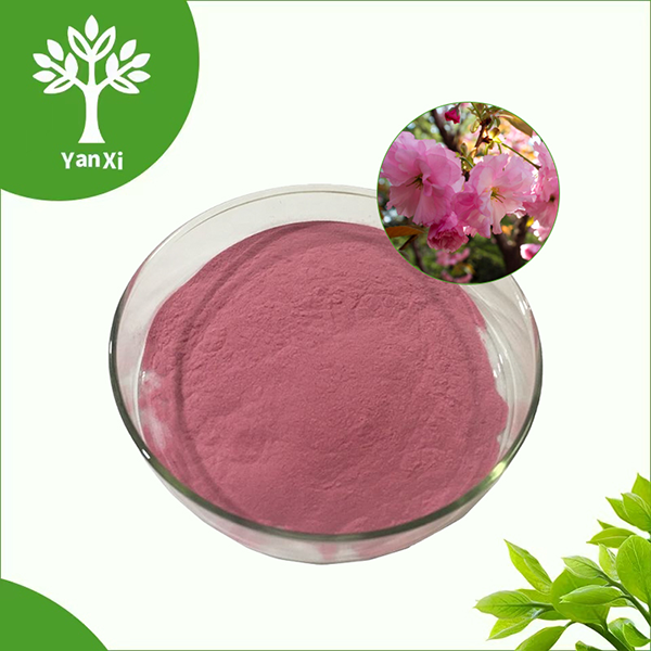 Sakura Flower Extract Powder Sakura Flower Extract Powder